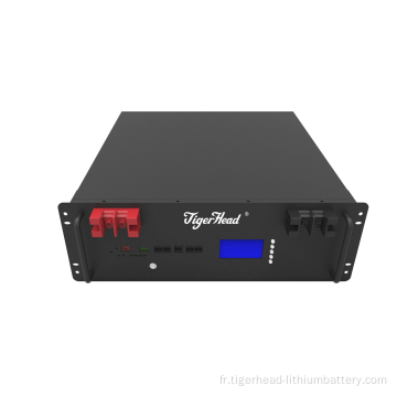 Paquet de batterie LiFePO4 monté en rack 5,12 kWh 51,2 V 100 Ah